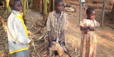 Animal Farming Brings Hope for DR Congo Women’s Group