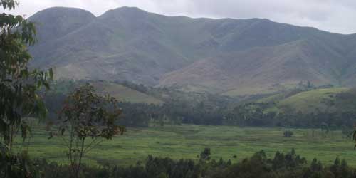 DR Congo: Rape Survivor Speaks Out