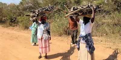 DR Congo: Village Women Toil But Reap Little Economic Benefit